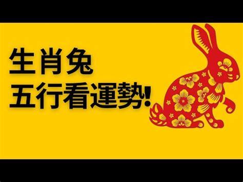 水雞年|水雞年是哪些年份